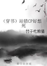 站错cp什么意思