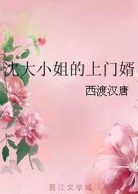 沈大小姐的上门婿免费阅读