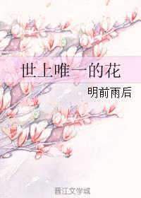 女子十二乐坊世上唯一的花