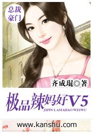 极品辣妈好v5完整版