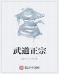 武道指什么