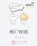 死亡WIFI 一生流浪的猫