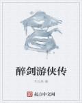 醉侠是什么意思