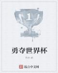 2006中国勇夺世界杯