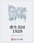 重生美国1929经济危机的