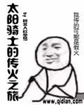 太阳骑士教