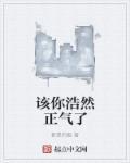 浩然正气是什么意思