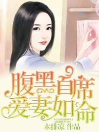 腹黑首席爱妻如命全文免费阅读txt