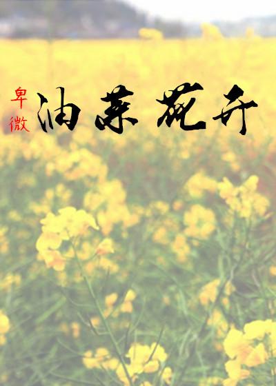 油菜花开介绍