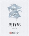 周行纪为什么只更新四章