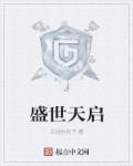 福建盛世天启贸易有限公司