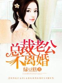 总裁老公不离婚TXT