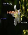 油桐花开入梦来