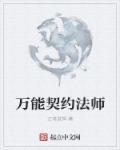 契约法师全集txt