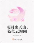 明月出天山苍茫云海间赏析