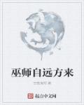 巫师自远方来剧情