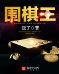 围棋王群个人资料简介