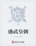 盛武上将军