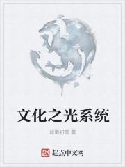 系统文化是什么