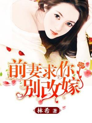 前妻求你别改嫁婉转的蓝全文无删