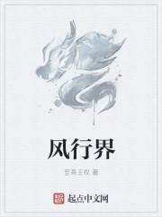 与风行分为什么界