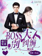 豪门贵妻boss