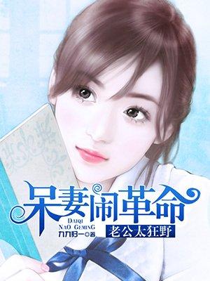 呆妻闹革命 九九归一