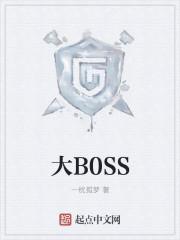 大b0SS是什么意思