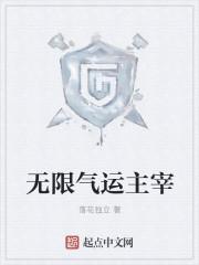 无限气运主宰笔趣阁手机版