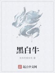 黑白牛图片