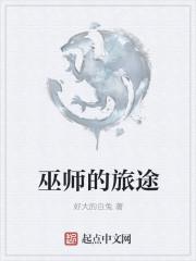 巫师的旅途攻略