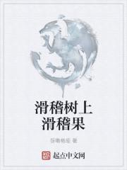 滑稽树上滑稽果是什么意思啊