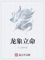 龙象寓意是什么