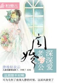 闪婚总裁深深爱txt