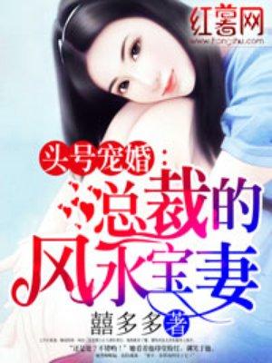 头号宠婚总裁的风水宝妻免费