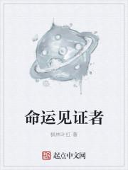 小冰冰传奇见证者