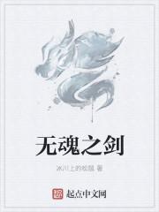 无双之魂用什么武器好