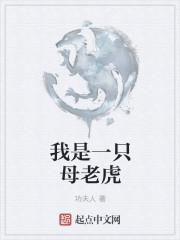 我是一只母老虎音乐