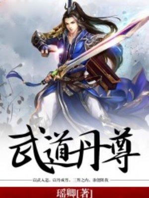 武道丹尊王城免费阅读