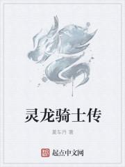 龙骑士传手游