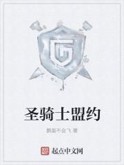 魔兽世界10.0圣骑士盟约