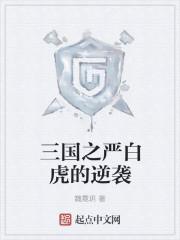 三国之白袍将军