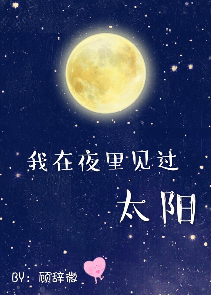 我在夜里见过太阳讲的什么