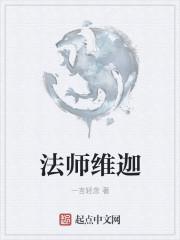 小法师维迦技能加点