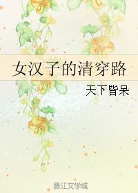 女汉子的清穿路全集