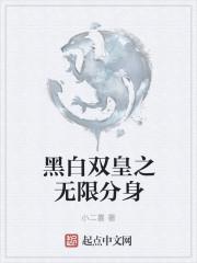 黑白无双番外