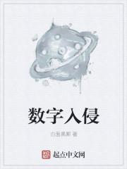 进入数字