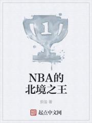 nba的北境之王剑走偏锋