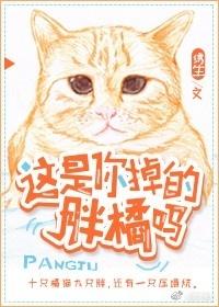 这是你掉的橘猫吗