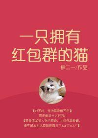 一只拥有红包群的猫 肆二一